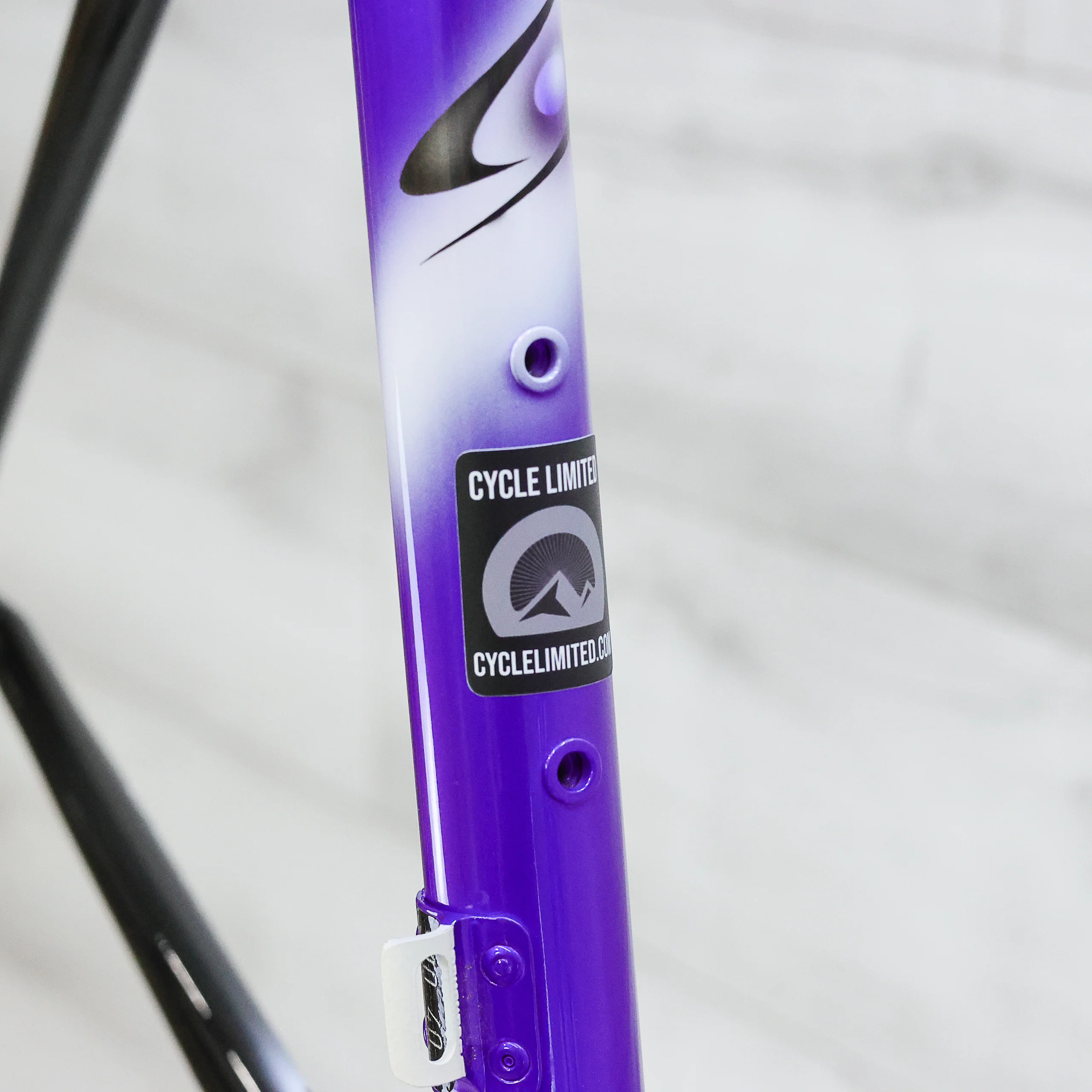 Colnago Dream B Stay Road Bike Frameset - 2004, Small - Image 3