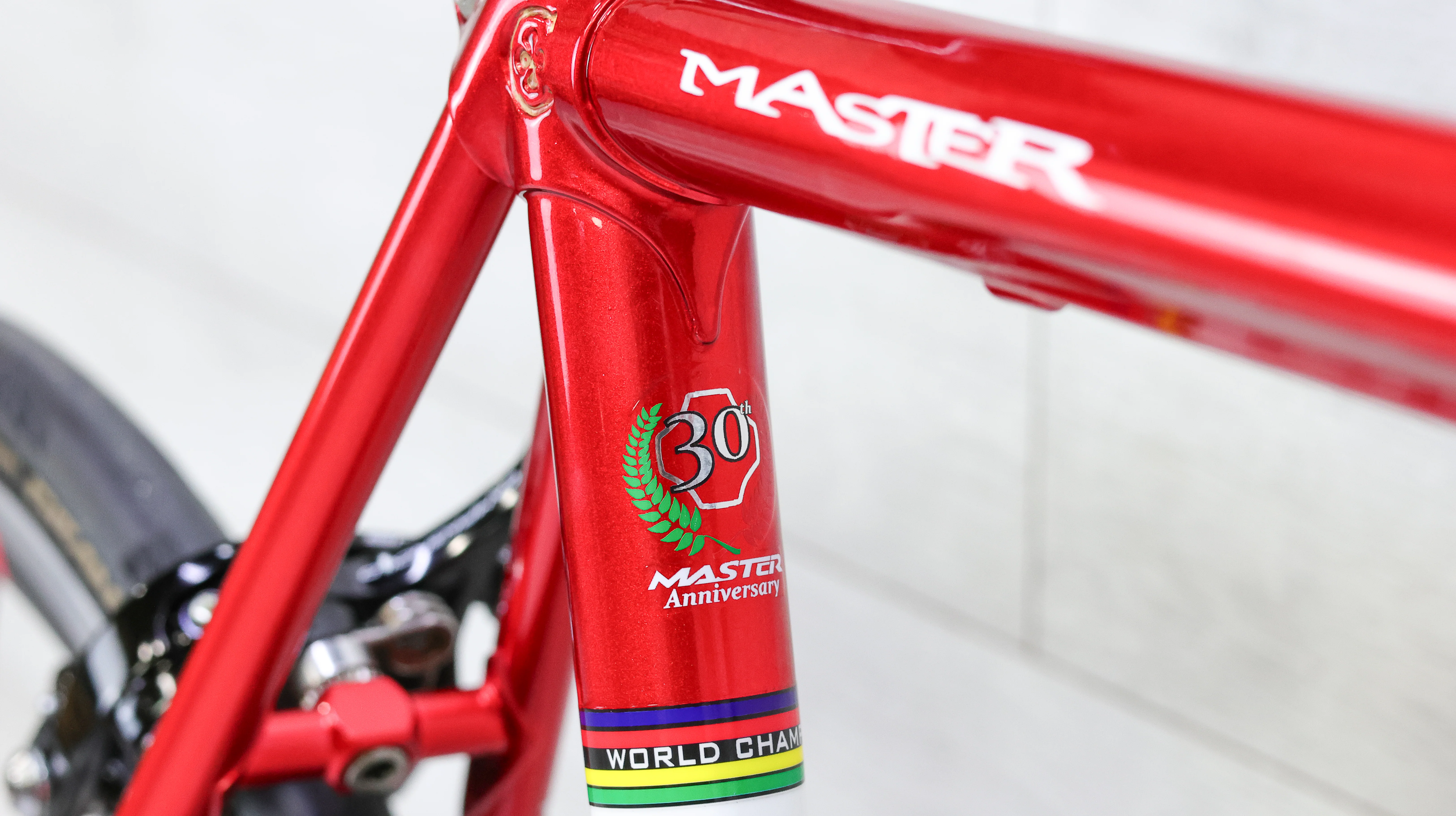 Colnago Master X-Light 30th Anniversary Edition Campagnolo Road Bike - 2013, 53cm - Image 15