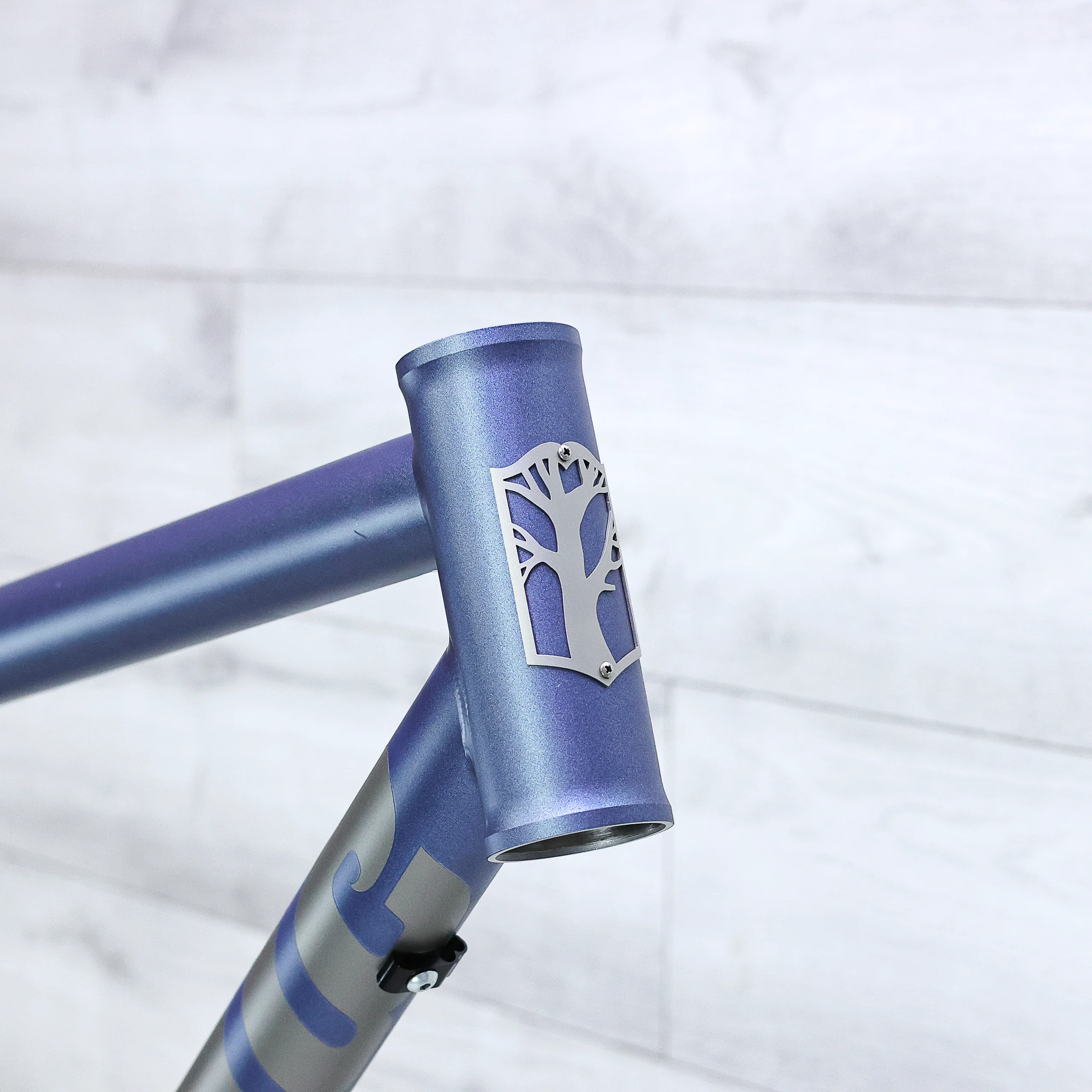 Mosaic MT-2 Titanium Hardtail Mountain Bike Frameset - 2023, X-Large - Image 5